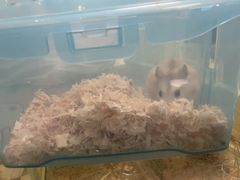 -龙猫仔乐园(惠福东路店)