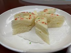 -丁老爷子苏香圆