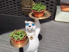 -Dough&Joe团憩(瑞虹天地月亮湾店)