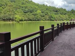 -广州白江湖森林公园