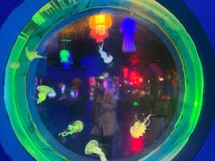 -太平洋海底世界