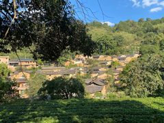 -杨家堂村