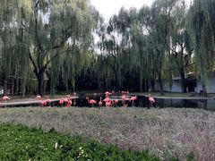 -石家庄市动物园