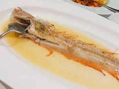清蒸钓鱼岛红带鱼-涵苑私宴定制(外滩店)