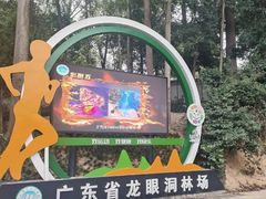-火炉山森林公园