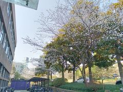-浙江大学(玉泉校区)