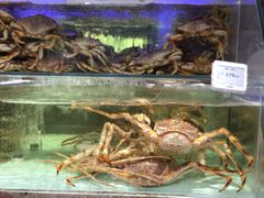 -盒马X会员店(王府井奥莱UP TOWN店)