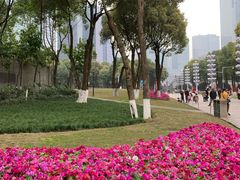 -重庆市江北嘴中央商务区中央公园