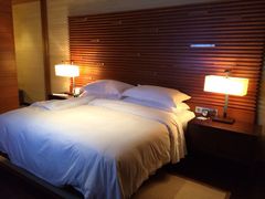 我的房型是丽景湾-海南清水湾莱佛士酒店