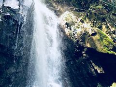 -藏龙百瀑风景区