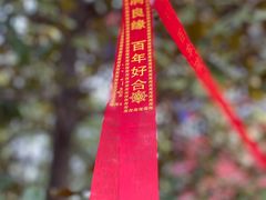 -开福禅寺