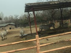 -西安秦岭野生动物园