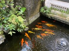 -北园酒家(小北路店)