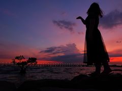 -宝安西湾红树林湿地公园