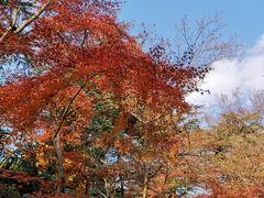 -上海市龙华烈士陵园