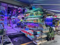 -青石桥花鸟鱼虫市场(叠翠城店)