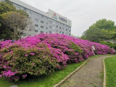 -长阳创谷