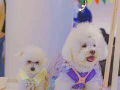 -金茂览秀城
