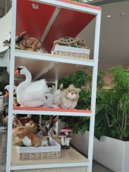 -IMON·HANSA潮玩玩偶毛绒玩具(通州万象汇店)