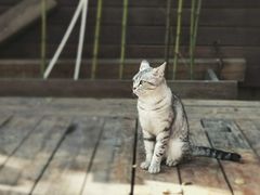 -有才叔的小馆(招商依云曲江店)