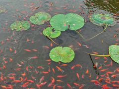 -北陵公园