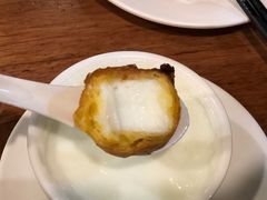 -正德顺順德雙皮奶(中信店)