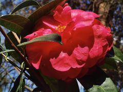 -昆明市金殿名胜区