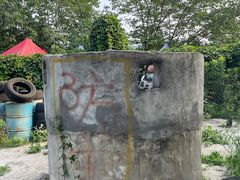-东湖小天池真人CS彩弹野战基地
