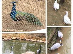 -红跑车HPCBAKERY(汉商店)