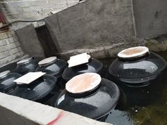 -茗荔园农庄(大涌店)