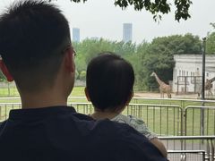 -合肥野生动物园