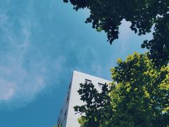 -西安交通大学第一附属医院(总院)