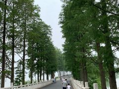 -东湖磨山景区