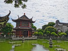 -碧江金楼