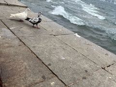 -星海广场