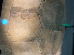 -金沙遗址博物馆
