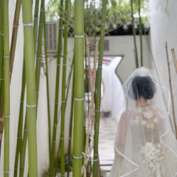 -苏州窝边小草摄影·汉服妆造跟拍(拙政园店)