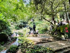 -莫干山风景区