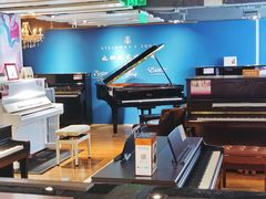 -雅马哈钢琴专卖店盛世雅歌琴行·电钢琴城·钢琴培训(翠微路店)