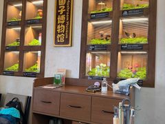 -菌自由丨野生菌火锅特色庭院餐厅(丽江古城店)
