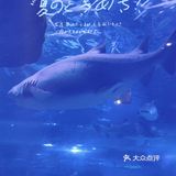 五一游玩‖武汉海昌极地海洋公园