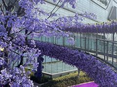 -龙湖南京江北天街