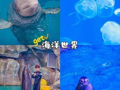 -《神游传奇》秀