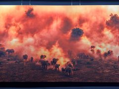 -罗红摄影艺术馆