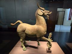 -广西壮族自治区博物馆