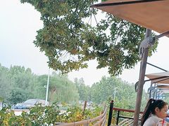 -蘇河湾·新鲁菜·泰山宴(泰山店)