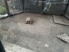-国色天乡三期陆地乐园