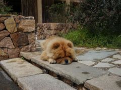 iphone_upload_pic-看见远方·莫干遥远的山民宿