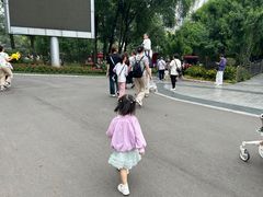 -成都动物园