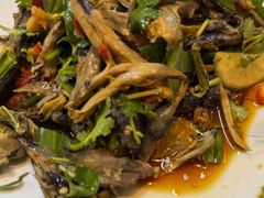 -滇道云南特色料理(康定路店)